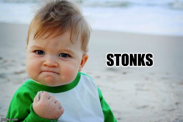 Success Kid Original Meme | STONKS | image tagged in memes,success kid original | made w/ Imgflip meme maker