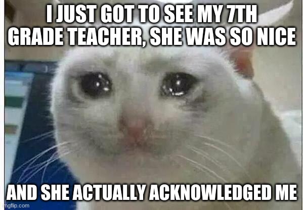 Dude She was my favorite teacher I miss her so much bc she got me into reading and writing | I JUST GOT TO SEE MY 7TH GRADE TEACHER, SHE WAS SO NICE; AND SHE ACTUALLY ACKNOWLEDGED ME | image tagged in crying cat,idc you didnt ask | made w/ Imgflip meme maker