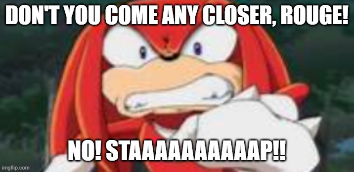 NOOOOO! | DON'T YOU COME ANY CLOSER, ROUGE! NO! STAAAAAAAAAAP!! | image tagged in angered knuckles | made w/ Imgflip meme maker