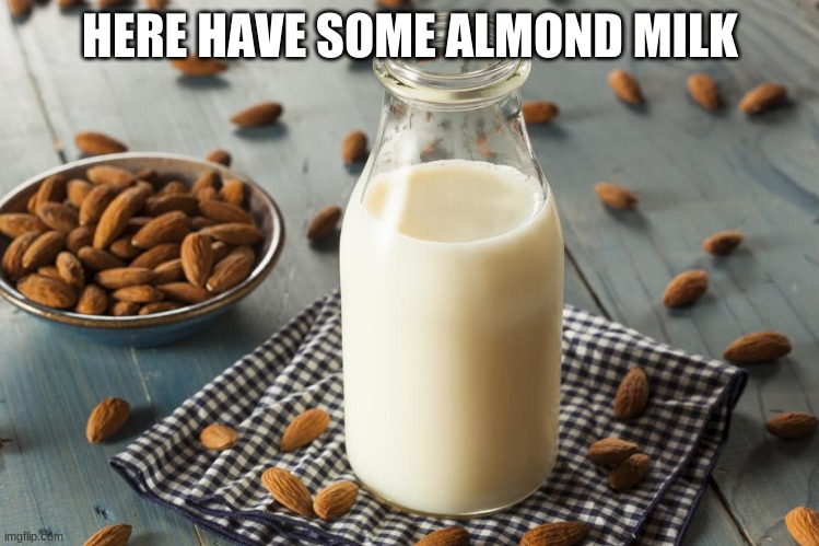 almond milk | HERE HAVE SOME ALMOND MILK | image tagged in almond milk | made w/ Imgflip meme maker