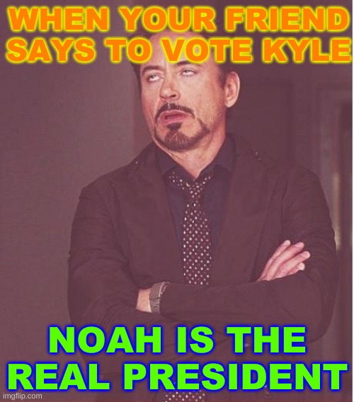 Face You Make Robert Downey Jr | WHEN YOUR FRIEND SAYS TO VOTE KYLE; NOAH IS THE REAL PRESIDENT | image tagged in memes,face you make robert downey jr | made w/ Imgflip meme maker