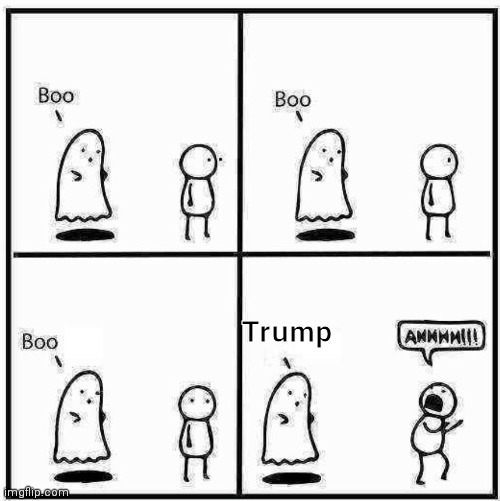 Ghost Boo | Trump | image tagged in ghost boo | made w/ Imgflip meme maker