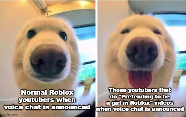 Youtubers when Voice Chat is announced in Roblox... | Those youtubers that do "Pretending to be a girl in Roblox" videos when voice chat is announced; Normal Roblox youtubers when voice chat is announced | image tagged in roblox,roblox meme,youtuber,youtubers | made w/ Imgflip meme maker