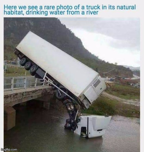 how peaceful | image tagged in okay truck,stop drinking | made w/ Imgflip meme maker