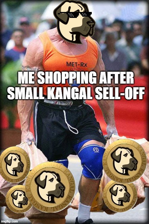 Kangal shopping | ME SHOPPING AFTER SMALL KANGAL SELL-OFF | image tagged in memes,funny,cryptocurrency | made w/ Imgflip meme maker