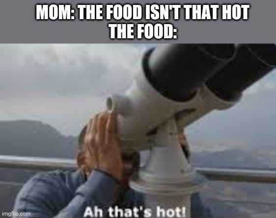 Lmao idk | MOM: THE FOOD ISN'T THAT HOT
THE FOOD: | image tagged in ah thats hot | made w/ Imgflip meme maker