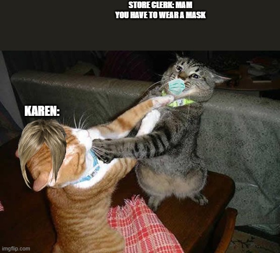 Two cats fighting for real | STORE CLERK: MAM YOU HAVE TO WEAR A MASK; KAREN: | image tagged in two cats fighting for real | made w/ Imgflip meme maker