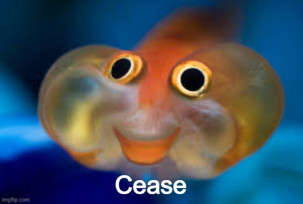 Happy fish | Cease | image tagged in happy fish | made w/ Imgflip meme maker