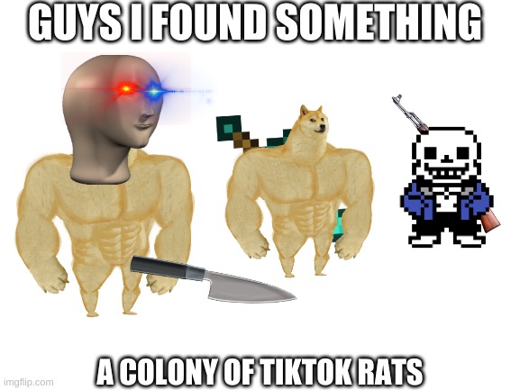 Blank White Template | GUYS I FOUND SOMETHING; A COLONY OF TIKTOK RATS | image tagged in blank white template | made w/ Imgflip meme maker