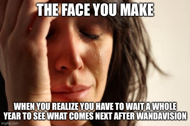 This is sadly true :) | THE FACE YOU MAKE; WHEN YOU REALIZE YOU HAVE TO WAIT A WHOLE YEAR TO SEE WHAT COMES NEXT AFTER WANDAVISION | image tagged in memes,first world problems,funny,wandavision,finale,doctor strange and the multiverse of madness | made w/ Imgflip meme maker