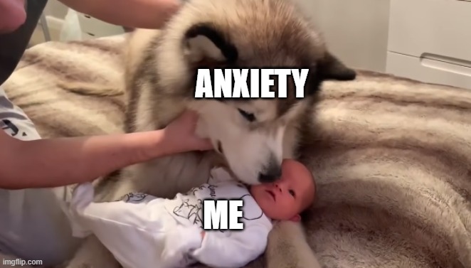 I have a life to live | ANXIETY; ME | image tagged in funny | made w/ Imgflip meme maker