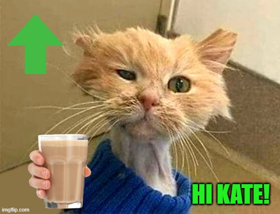 HI KATE! | image tagged in wtf-cat | made w/ Imgflip meme maker