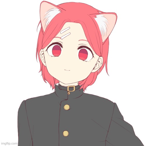 Here's my first Picrew.... How'd I do? | image tagged in elias walker v 1 | made w/ Imgflip meme maker
