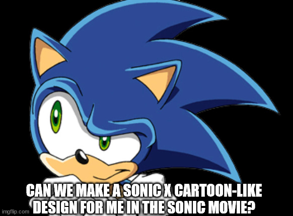CAN WE MAKE A SONIC X CARTOON-LIKE DESIGN FOR ME IN THE SONIC MOVIE? | image tagged in sonic movie | made w/ Imgflip meme maker