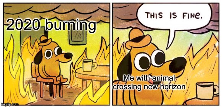 This Is Fine | 2020 burning; Me with animal crossing new horizon | image tagged in memes,this is fine | made w/ Imgflip meme maker