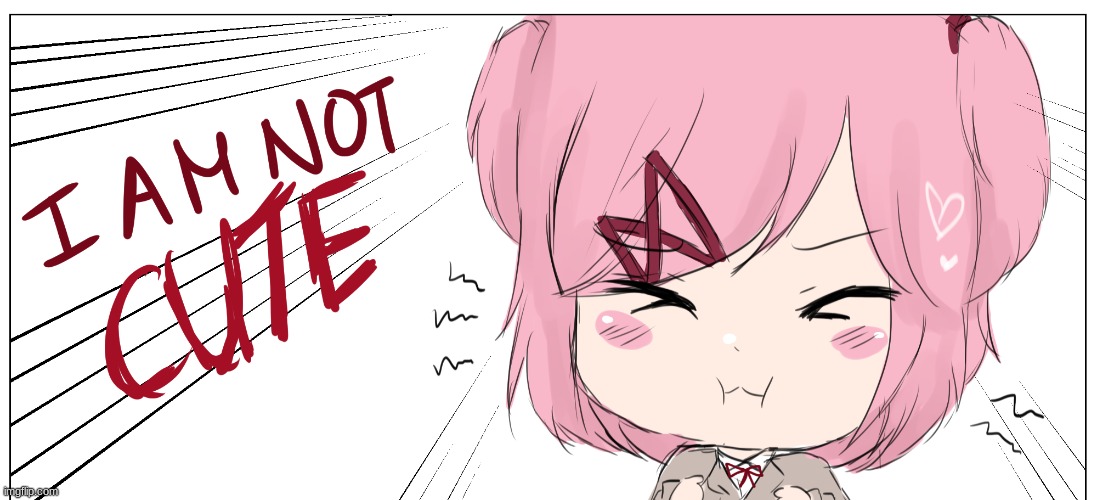 I am not cute | image tagged in i am not cute | made w/ Imgflip meme maker