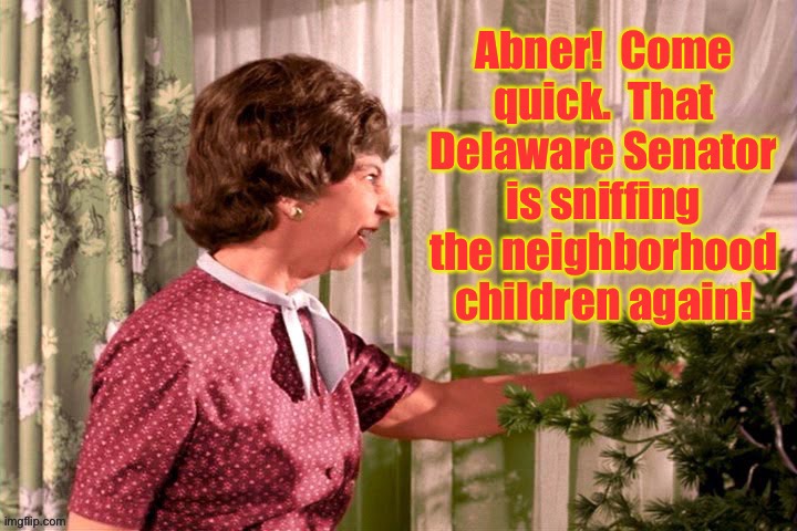 The 1972 last episode of Bewitched!  Magic met its match. | image tagged in bewitched,joe biden,sniffing children,gladys kravens,delaware senator,1972 | made w/ Imgflip meme maker