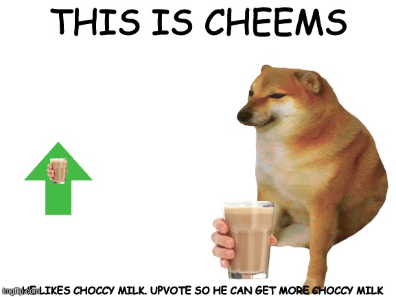 Cheems wants CHOCCY MILK | THIS IS CHEEMS; HE LIKES CHOCCY MILK. UPVOTE SO HE CAN GET MORE CHOCCY MILK | image tagged in choccy milk,upvotes,cheems | made w/ Imgflip meme maker