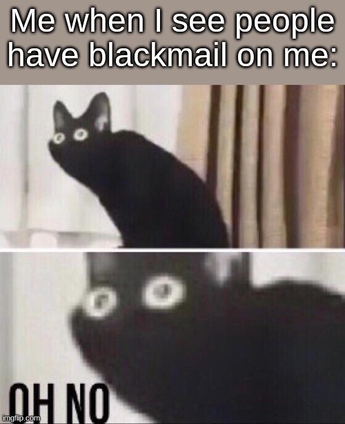Oh no cat | Me when I see people have blackmail on me: | image tagged in oh no cat | made w/ Imgflip meme maker