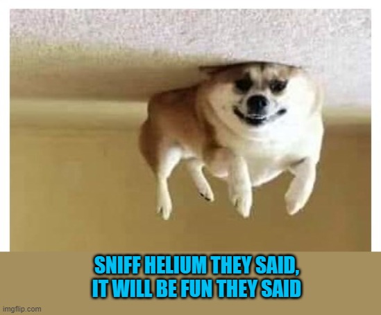 SNIFF HELIUM THEY SAID, IT WILL BE FUN THEY SAID | made w/ Imgflip meme maker