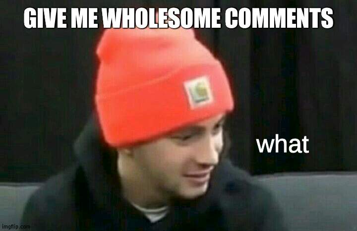 tyler joseph what | GIVE ME WHOLESOME COMMENTS | image tagged in tyler joseph what | made w/ Imgflip meme maker
