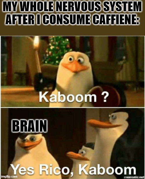 BOOM | MY WHOLE NERVOUS SYSTEM AFTER I CONSUME CAFFIENE:; BRAIN | image tagged in kaboom yes rico kaboom | made w/ Imgflip meme maker