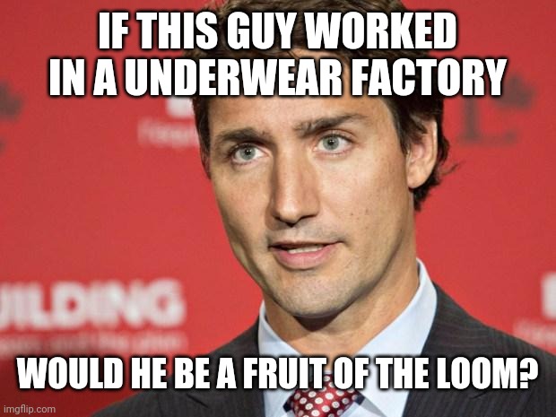 Trudeau | IF THIS GUY WORKED IN A UNDERWEAR FACTORY; WOULD HE BE A FRUIT OF THE LOOM? | image tagged in trudeau | made w/ Imgflip meme maker