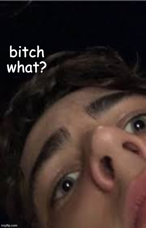 Bitch what? | image tagged in bitch what | made w/ Imgflip meme maker
