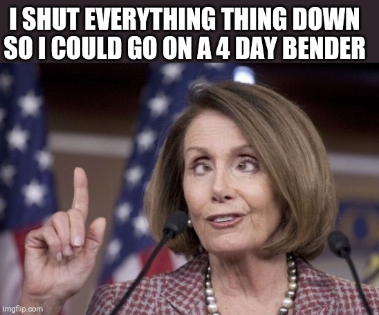 Nancy pelosi | I SHUT EVERYTHING THING DOWN SO I COULD GO ON A 4 DAY BENDER | image tagged in nancy pelosi | made w/ Imgflip meme maker