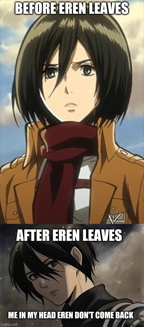 when that one person leaves | BEFORE EREN LEAVES; AFTER EREN LEAVES; ME IN MY HEAD EREN DON'T COME BACK | image tagged in mikasa ackerman | made w/ Imgflip meme maker