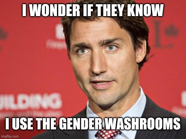 Trudeau | I WONDER IF THEY KNOW; I USE THE GENDER WASHROOMS | image tagged in trudeau | made w/ Imgflip meme maker