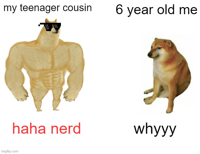 cousins are mean sometimes | my teenager cousin; 6 year old me; haha nerd; whyyy | image tagged in memes,buff doge vs cheems,cousin,bully | made w/ Imgflip meme maker
