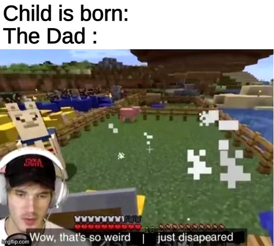 Wow, that's so weird they just disappeared | Child is born:
The Dad :; I | image tagged in wow that's so weird they just disappeared | made w/ Imgflip meme maker
