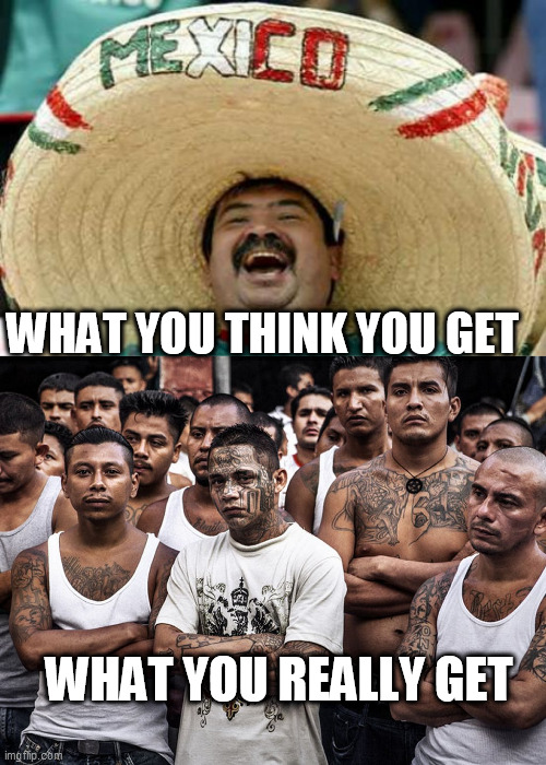 WHAT YOU THINK YOU GET; WHAT YOU REALLY GET | image tagged in happy mexican,ms-13 dreamers daca | made w/ Imgflip meme maker