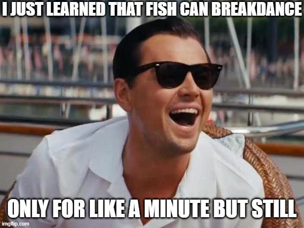 Fishy Funeral | I JUST LEARNED THAT FISH CAN BREAKDANCE; ONLY FOR LIKE A MINUTE BUT STILL | image tagged in haha | made w/ Imgflip meme maker
