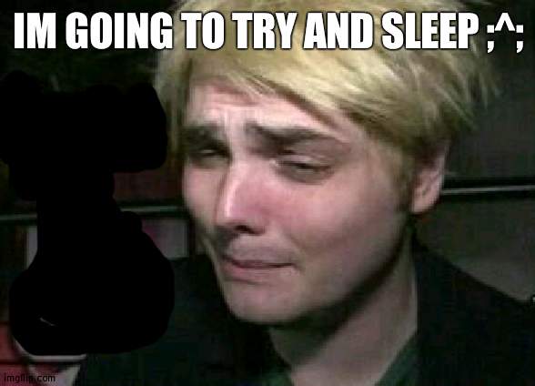 probably willl fail | IM GOING TO TRY AND SLEEP ;^; | made w/ Imgflip meme maker