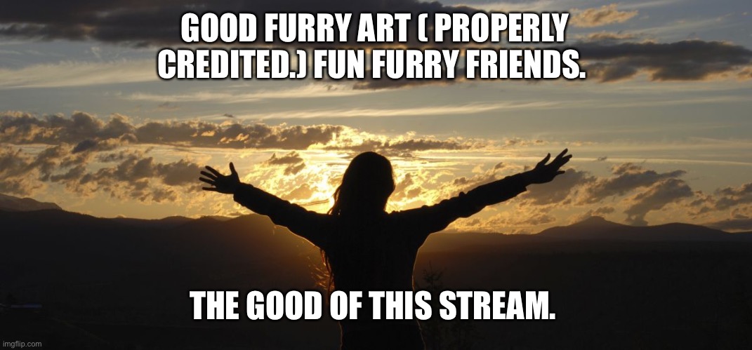 Positive | GOOD FURRY ART ( PROPERLY CREDITED.) FUN FURRY FRIENDS. THE GOOD OF THIS STREAM. | image tagged in positive | made w/ Imgflip meme maker