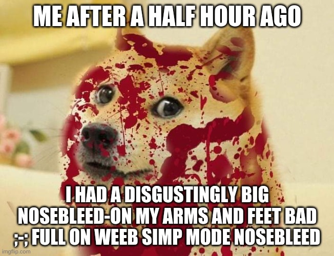 Bloody doge | ME AFTER A HALF HOUR AGO; I HAD A DISGUSTINGLY BIG NOSEBLEED-ON MY ARMS AND FEET BAD ;-; FULL ON WEEB SIMP MODE NOSEBLEED | image tagged in bloody doge | made w/ Imgflip meme maker