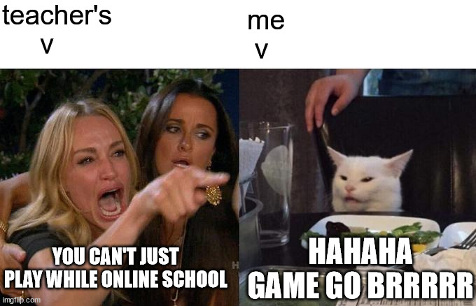 i hate school | teacher's
     v; me
 v; YOU CAN'T JUST PLAY WHILE ONLINE SCHOOL; HAHAHA GAME GO BRRRRR | image tagged in memes,woman yelling at cat | made w/ Imgflip meme maker