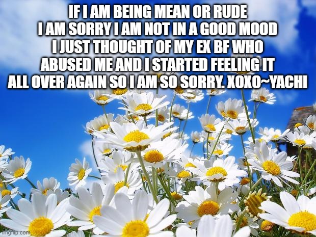 spring daisy flowers | IF I AM BEING MEAN OR RUDE I AM SORRY I AM NOT IN A GOOD MOOD I JUST THOUGHT OF MY EX BF WHO ABUSED ME AND I STARTED FEELING IT ALL OVER AGAIN SO I AM SO SORRY. XOXO~YACHI | image tagged in spring daisy flowers | made w/ Imgflip meme maker