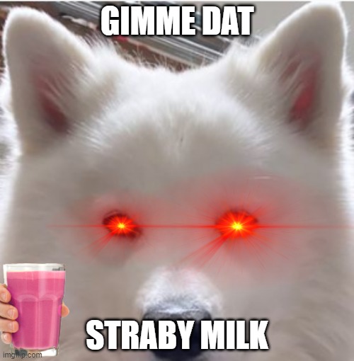 Binx wants dat straby milk | GIMME DAT; STRABY MILK | image tagged in straby milk | made w/ Imgflip meme maker