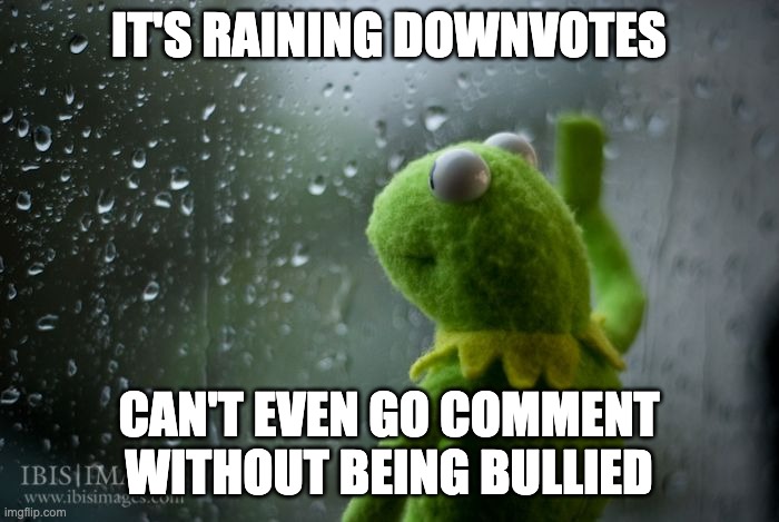 kermit window | IT'S RAINING DOWNVOTES CAN'T EVEN GO COMMENT WITHOUT BEING BULLIED | image tagged in kermit window | made w/ Imgflip meme maker