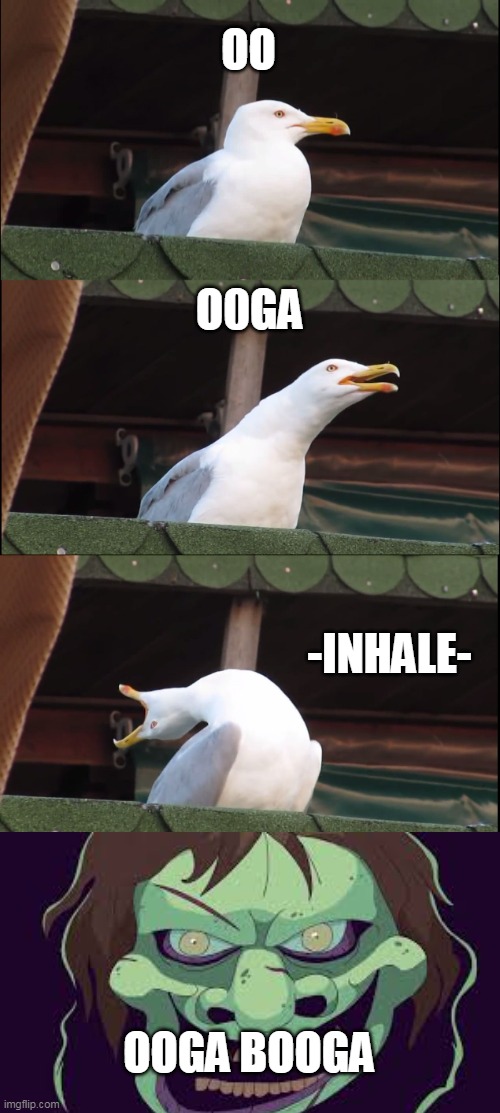 OK | OO; O0GA; -INHALE-; OOGA BOOGA | image tagged in memes,inhaling seagull | made w/ Imgflip meme maker