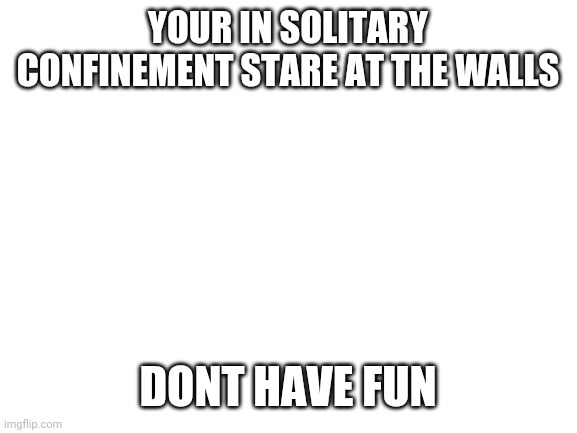 Your in solitary | YOUR IN SOLITARY CONFINEMENT STARE AT THE WALLS; DONT HAVE FUN | image tagged in blank white template | made w/ Imgflip meme maker