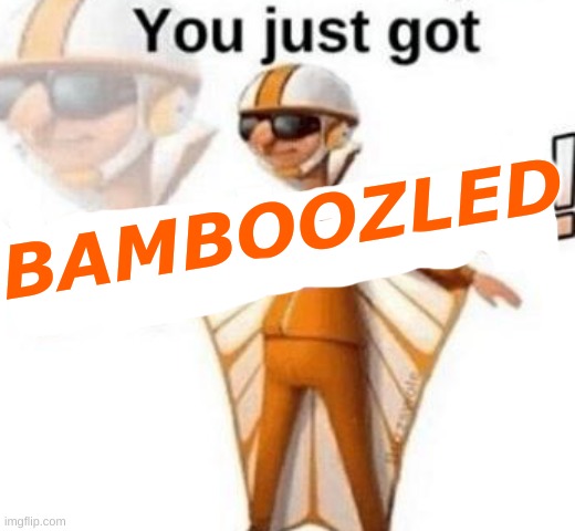 You just got vectored | BAMBOOZLED | image tagged in you just got vectored | made w/ Imgflip meme maker