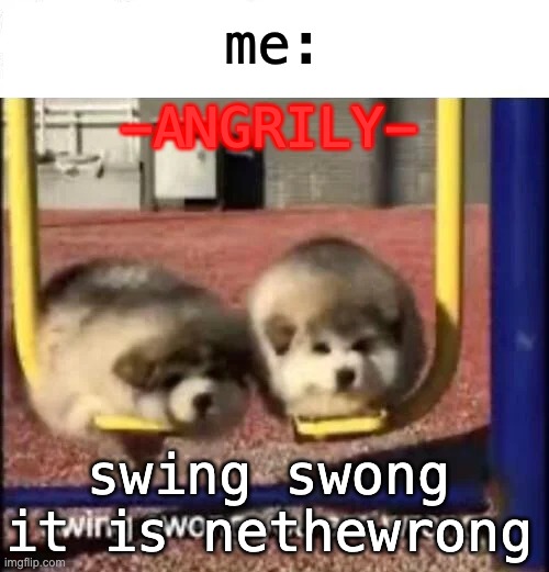 SWING SWONG YOU ARE WRONG | me: -ANGRILY- swing swong it is nethewrong | image tagged in swing swong you are wrong | made w/ Imgflip meme maker