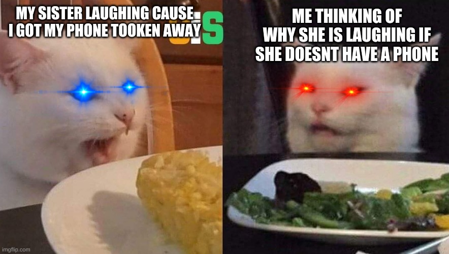 Quarrel cats | ME THINKING OF WHY SHE IS LAUGHING IF SHE DOESNT HAVE A PHONE; MY SISTER LAUGHING CAUSE I GOT MY PHONE TOOKEN AWAY | image tagged in quarrel cats | made w/ Imgflip meme maker