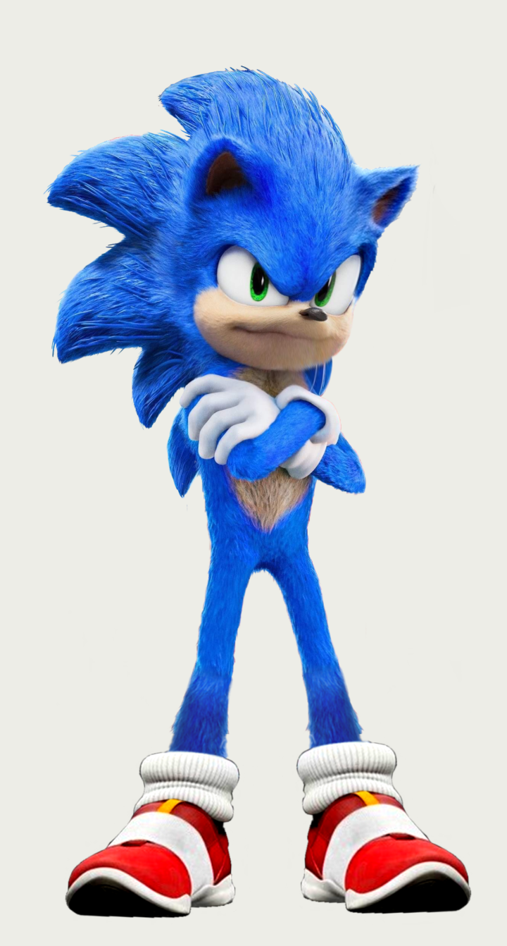 Sonic has seen enough bullcrap Blank Meme Template