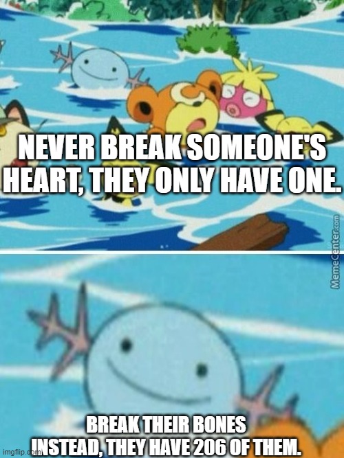 NEVER BREAK SOMEONE'S HEART, THEY ONLY HAVE ONE. BREAK THEIR BONES INSTEAD, THEY HAVE 206 OF THEM. | image tagged in wooper | made w/ Imgflip meme maker