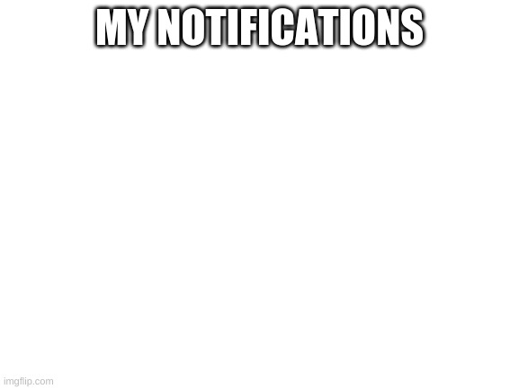 Blank White Template | MY NOTIFICATIONS | image tagged in blank white template | made w/ Imgflip meme maker